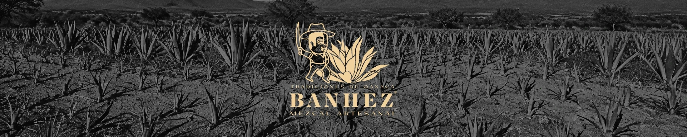 Banhez storefront detail 1