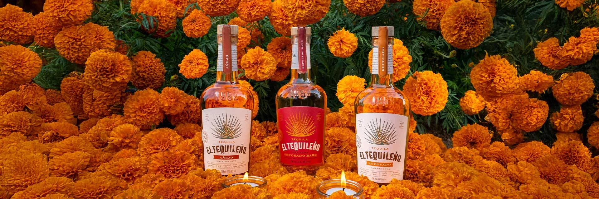 El Tequileño — The brand in store